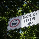 Aplican 160 multas al día por el uso indebido de los carriles Solo Bus en Montevideo. Aplican 160 multas al día por el uso indebido de los carriles Solo Bus en Montevideo.