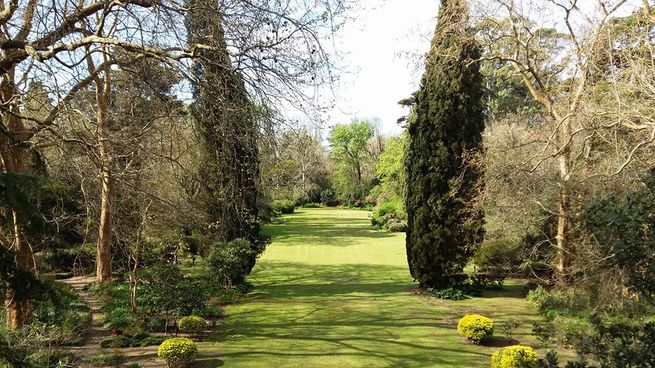 Un área que mantiene la naturaleza autóctona de Buenos Aires