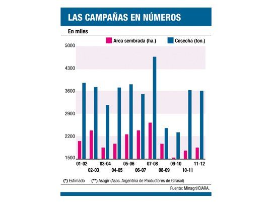 Girasol, el ganador de la temporada