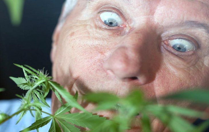 En Estados Unidos detectaron un crecimiento del consumo de cannabis en los adultos mayores.&nbsp;