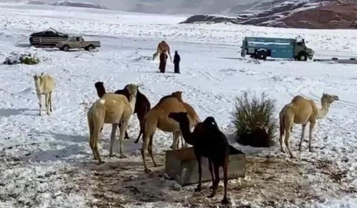 Las autoridades alertaron que este cambio climático puede producir alteraciones en el ecosistema y la agricultura de la zona. 