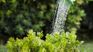 OSE lifted the ban on using drinking water for activities such as watering, washing the car and washing the patios. OSE lifted the ban on using drinking water for activities such as watering, washing the car and washing the patios.