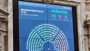 La Cámara de Diputados rechazó por más de dos tercios de los votos el veto de Javier Milei.