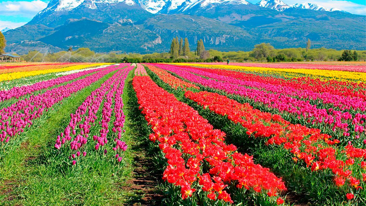 The two towns in Chubut that were chosen as the most beautiful in the world