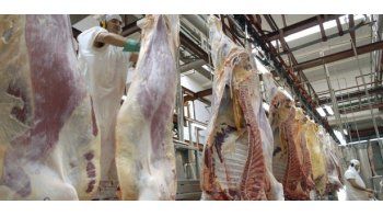 FAA rechazó importar carne y pidió revisar la cadena de comercialización