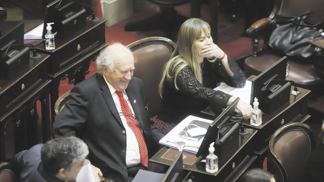 alegría. Los cristinistas Oscar Parrilli y Juliana di Tullio, durante la sesión en la que se aprobó -y giró a Diputados- una moratoria previsional.