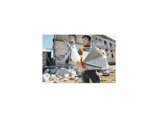Un joven sostiene una paloma muerta, hallada entre los escombros de un edificio de la ciudad de Idlib, bombardeada por las fuerzas del régimen de Bashar al Asad. La resistencia utiliza palomas mensajeras para romper el bloqueo.
