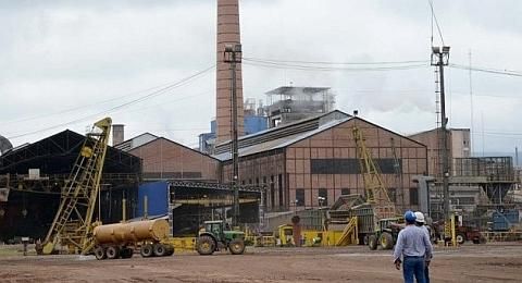 La planta papelera produjo 90.545 toneladas, mientras que la de cuadernos alcanzó 9.060 toneladas.