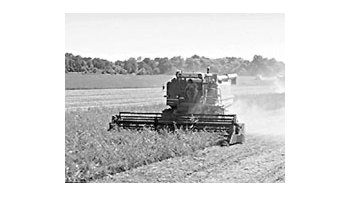 ámbito.com | Boom de soja: sube 50% el alquiler de campos