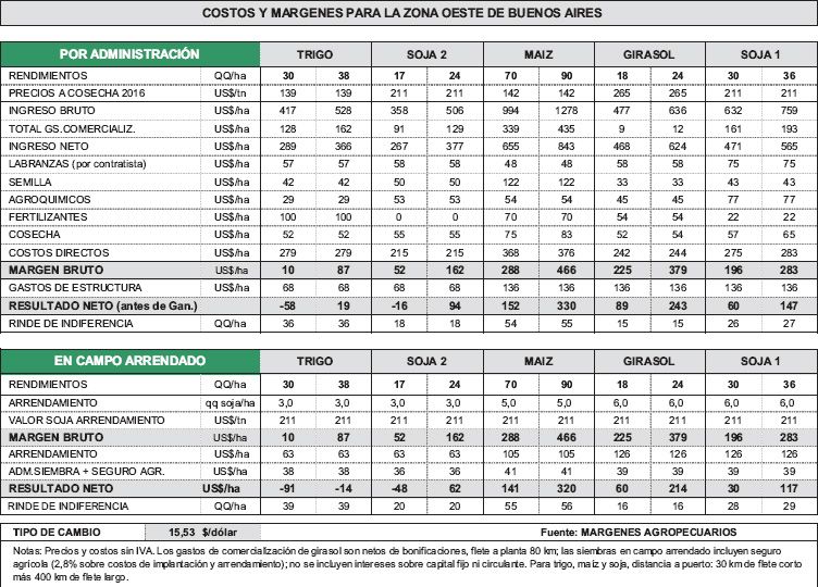 Buena evolución de cultivos (foto 1)