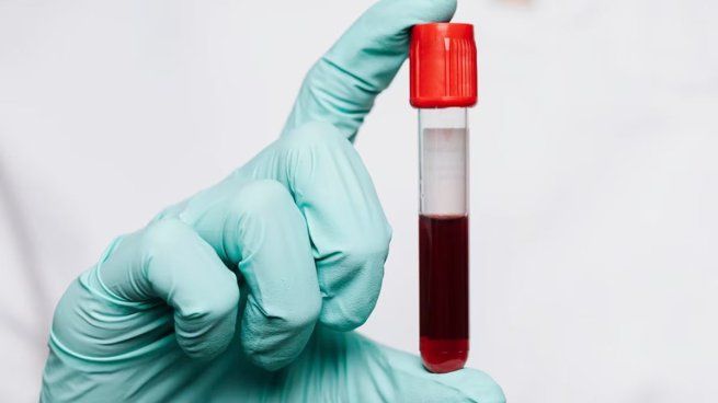 El diseño de la sangre artificial desarrollada en Japón se basa en una tecnología avanzada que utiliza vesículas de hemoglobina: microcápsulas que replican la función principal de los glóbulos rojos. 