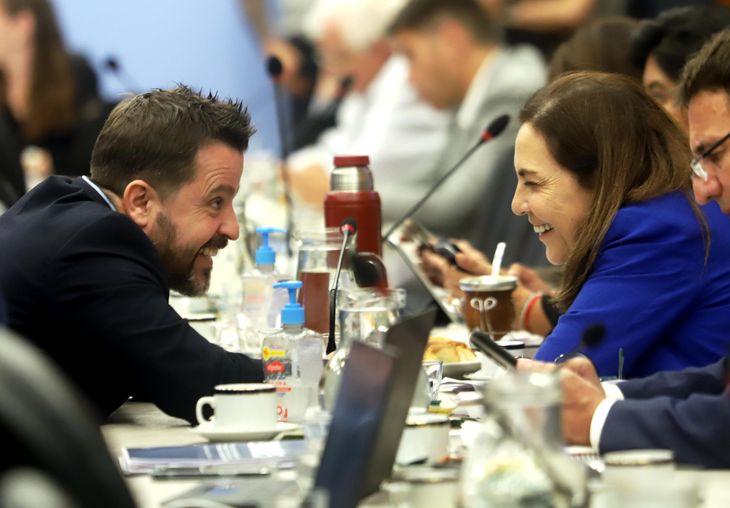 Martín Tetaz y Carla Carrizo, diputados de la UCR.