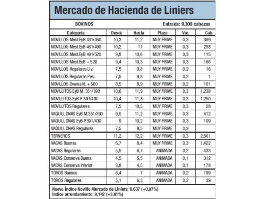 Los novillitos subieron 2,7%