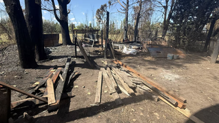 El operativo se realizó en el hogar infantil “Nido de Águilas”, ubicado en la localidad de La Capilla, en Florencio Varela. El operativo se realizó en el hogar infantil “Nido de Águilas”, ubicado en la localidad de La Capilla, en Florencio Varela.