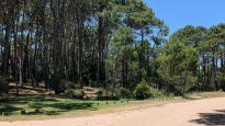 mar de las pampas va por un reconocimiento mundial: naturaleza, playa y turismo sostenible
