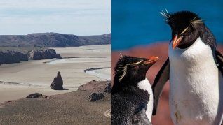 En la zona de Puerto Deseado convergen los paisajes de la estepa patagónica, el azul profundo del mar, la fauna típica y las huellas de la historia. En la zona de Puerto Deseado convergen los paisajes de la estepa patagónica, el azul profundo del mar, la fauna típica y las huellas de la historia.