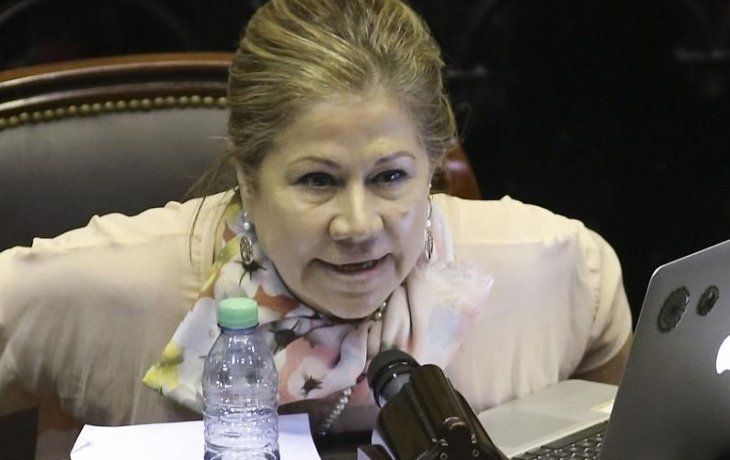 Graciela Camaño conformó el bloque Consenso Federal con otros tres diputados.&nbsp;