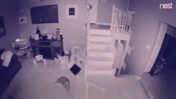 Capturan el fantasma de un niño jugando con el espectro de un perro