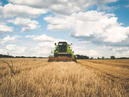 campo cosecha tractor