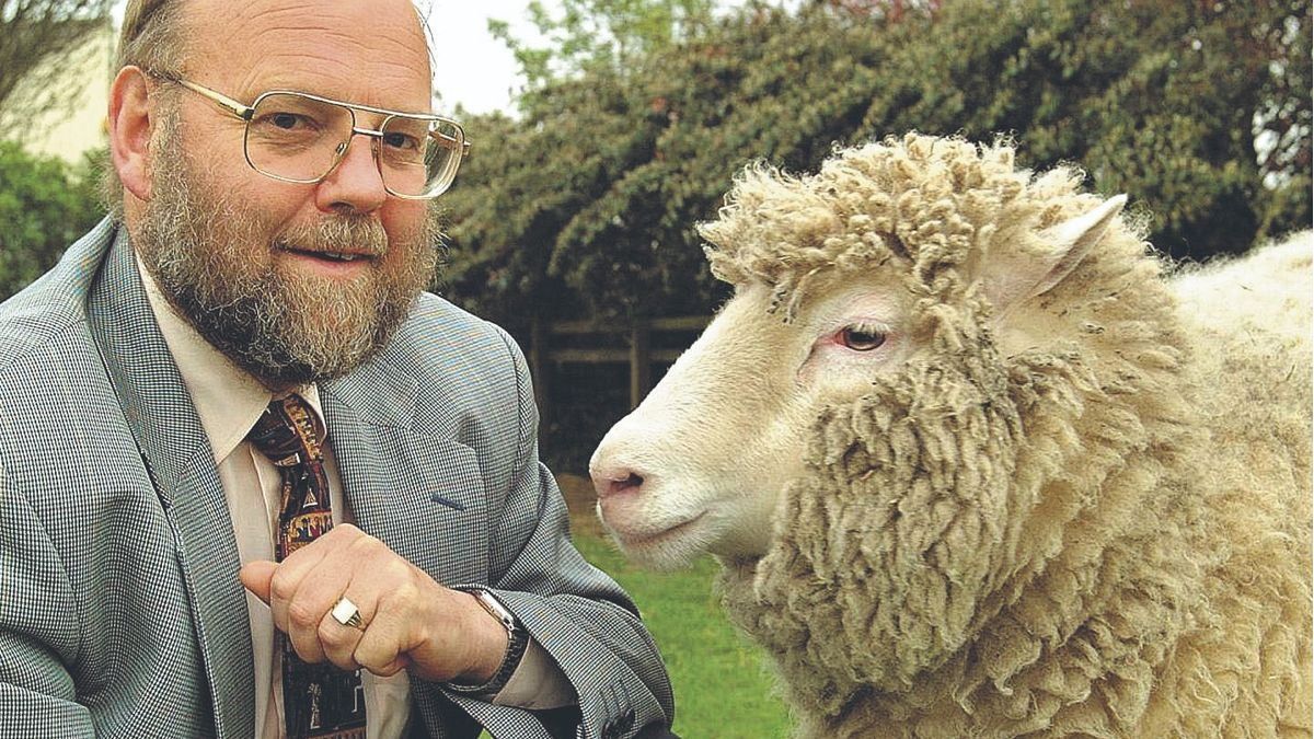 Scientist Ian Wilmut, the father of Dolly the sheep, has died