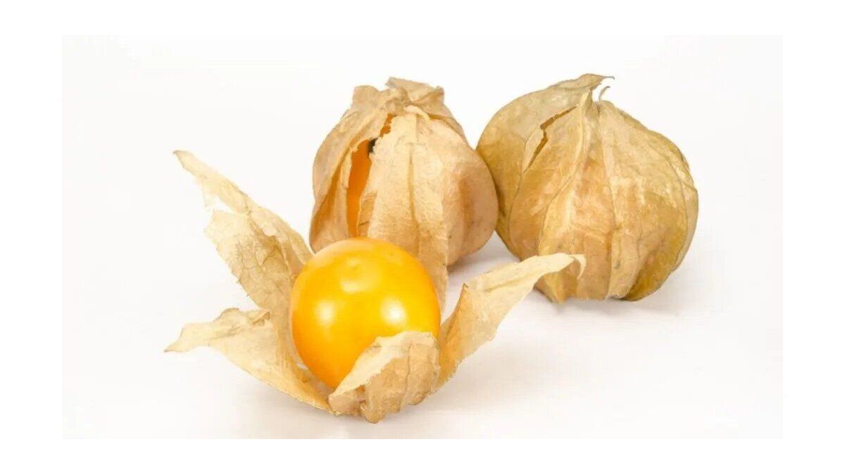 The plant alternative that I could replace the meat: a nutritious and versatile option for your diet