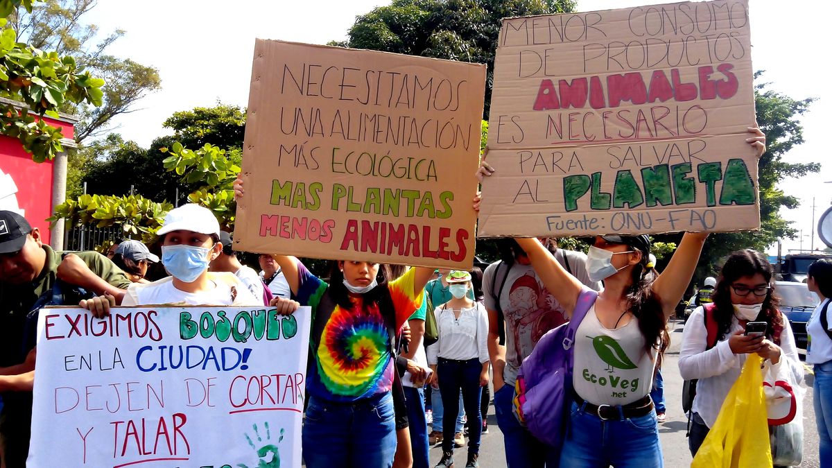 El Salvador: ecologistas se movilizan contra Bitcoin City