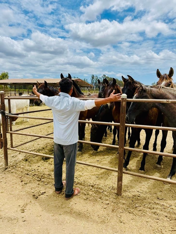 Los caballos ocupan un lugar central en la vida cotidiana de Jorge Campos dentro de su propiedad en Acapulco. Los caballos ocupan un lugar central en la vida cotidiana de Jorge Campos dentro de su propiedad en Acapulco.