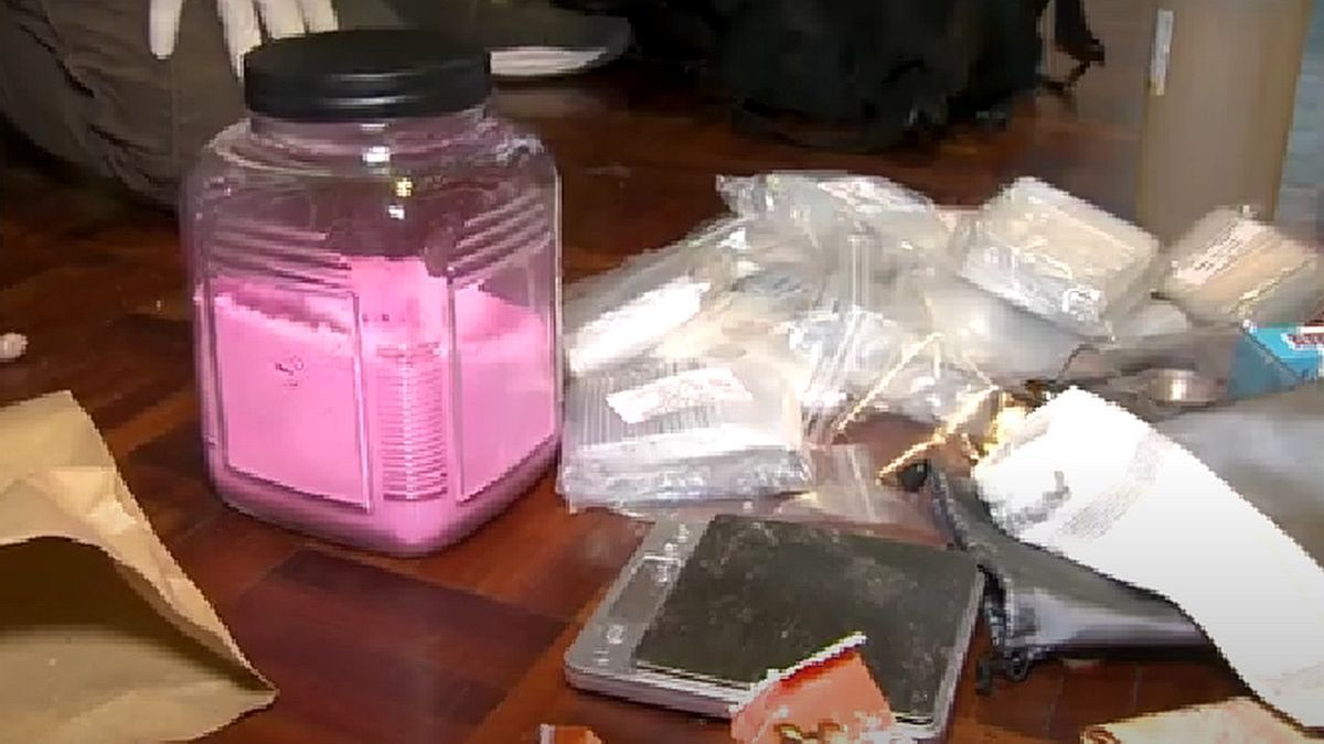 Amsterdam analyzes cocaine regulation to combat drug trafficking