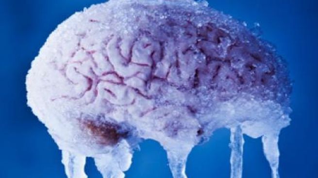 Cómo funciona el cerebro ante el frío.&nbsp;