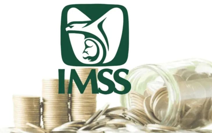 Checa lo que tiene para decir el IMSS. Checa lo que tiene para decir el IMSS.