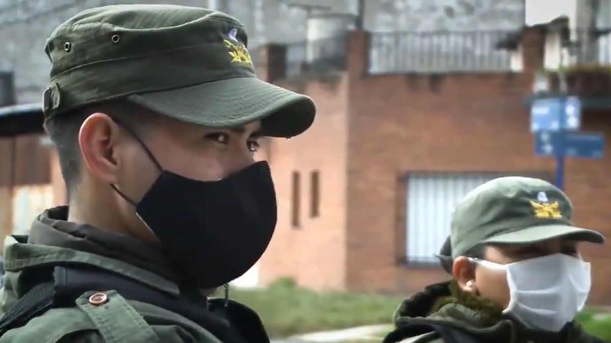 Secuestran casi 900 kilos de marihuana en Misiones en una casa que funcionaba como depósito