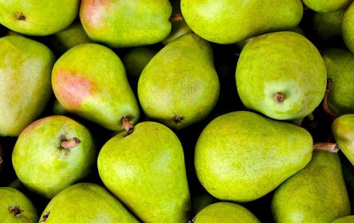 Las peras refuerzan el sistema inmunológico gracias a la vitamina C y componentes antioxidantes.