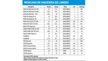 Jornada de oferta limitada en Liniers