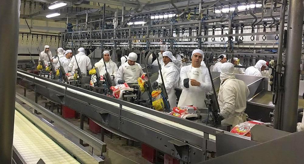 Granja Tres Arroyos llegó a tener más de 1.500 empleados, actualmente su plantilla no supera los 700 trabajadores. Granja Tres Arroyos llegó a tener más de 1.500 empleados, actualmente su plantilla no supera los 700 trabajadores.