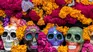 Existes pueblos especiales para celebrar el Día de Muertos. Existes pueblos especiales para celebrar el Día de Muertos.