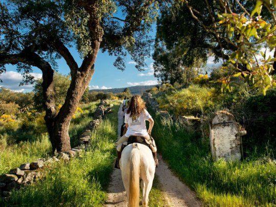 caballo.jpg