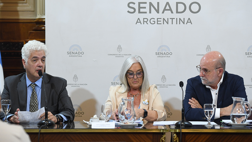 Ley de Glacaires. Alfredo Vitaller disertó en el Senado en representación de CAEM.