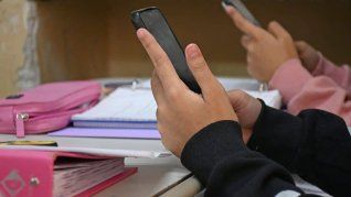 La ley se aplicara en colegios publicos y privados. 