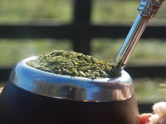 mate.jpg