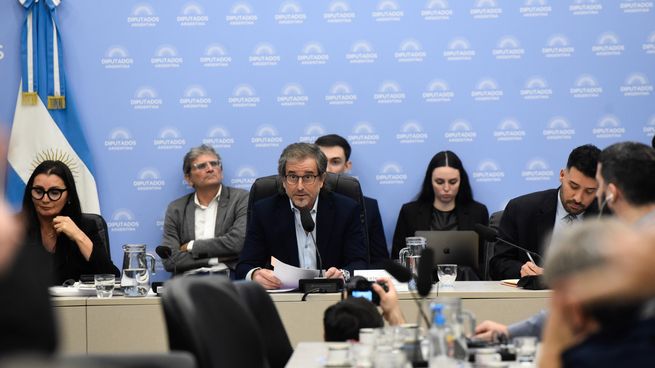 Los libertarios se ilusionan con posponer la sanción de la ley de leyes.