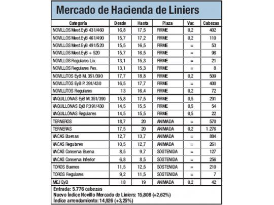 Mercado de Liniers: novillo subió 2,6%