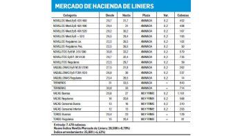 Jornada con subas en Liniers