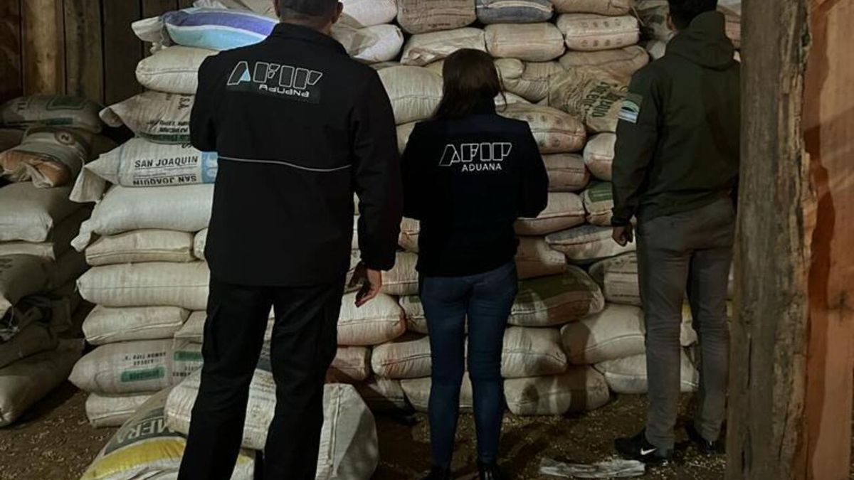 AFIP: incautan récord de soja ilegal en el norte del país