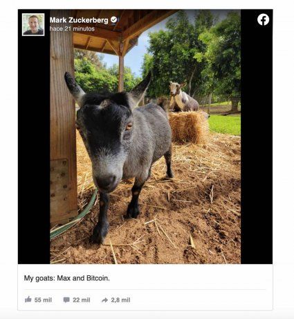 El posteo de Mark Zuckerberg.