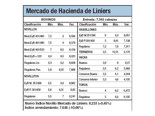 Récords de precios para los terneros