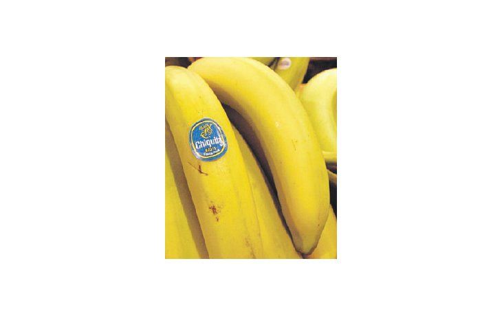 Chiquita es líder mundial en la venta y distribución de productos frescos, incluidas bananas y ensaladas empaquetadas.