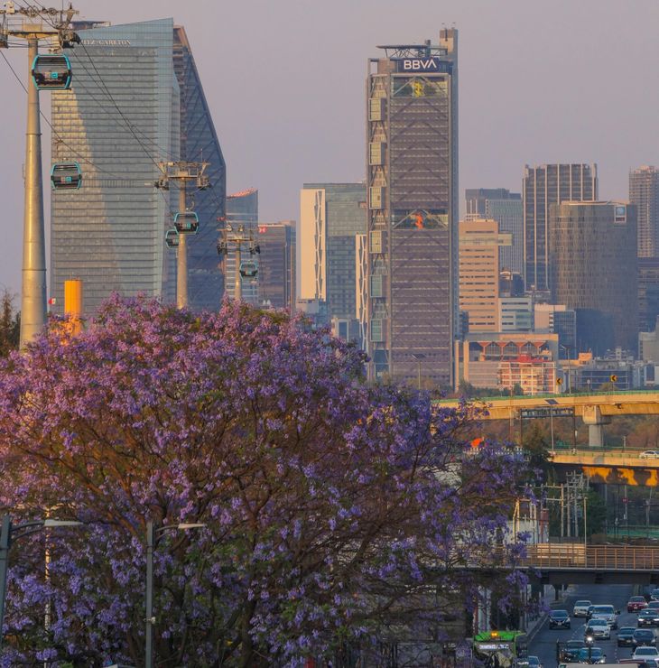 Vista del Cablebús en operación, con cabinas que cruzan la ciudad y consolidan el transporte aéreo como alternativa cotidiana en la capital azteca
