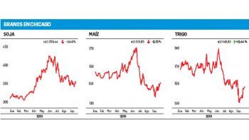 La soja bajó 1,44% y cortó la racha positiva