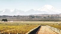 Mendoza registró un sismo de 5,4 grados Richter