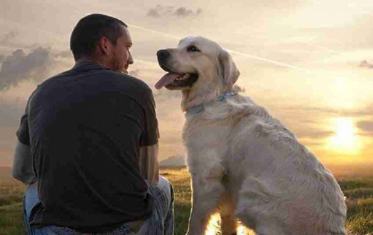 Vínculo perro y humano.&nbsp;